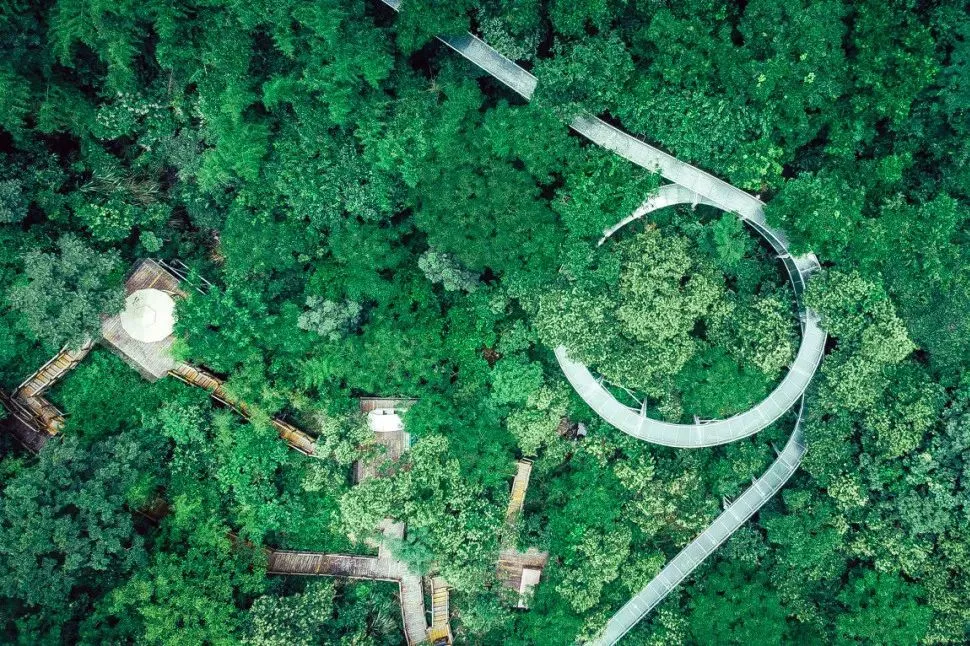 杭温高铁通车，一路有山有水-华闻时空