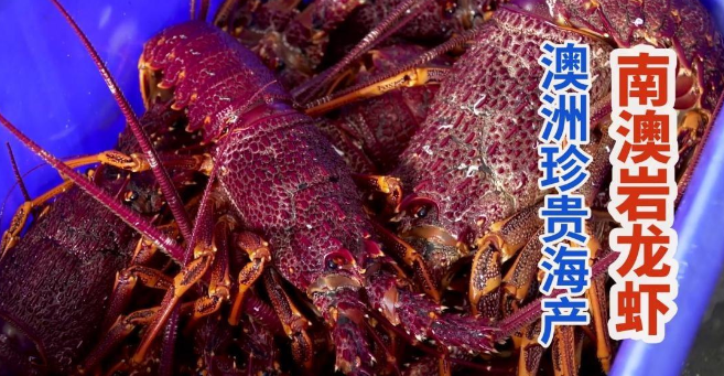图片[2]-贸易战澳洲先服软？中国终于同意进口龙虾，澳总理：能赶上春节吗？-华闻时空