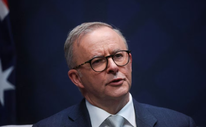 图片[7]-贸易战澳洲先服软？中国终于同意进口龙虾，澳总理：能赶上春节吗？-华闻时空