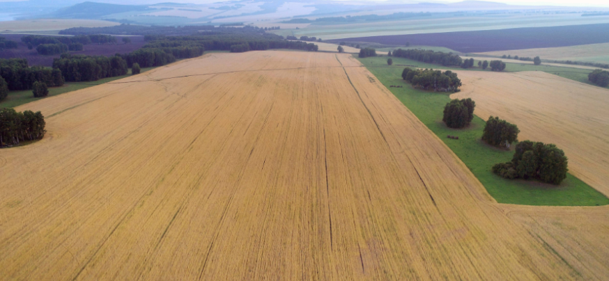 图片[2]-中国人到底有多勤劳？看看边境两侧的农田，你就能找到答案-华闻时空