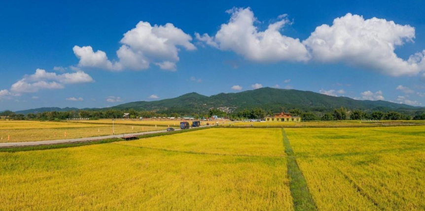 图片[3]-中国人到底有多勤劳？看看边境两侧的农田，你就能找到答案-华闻时空