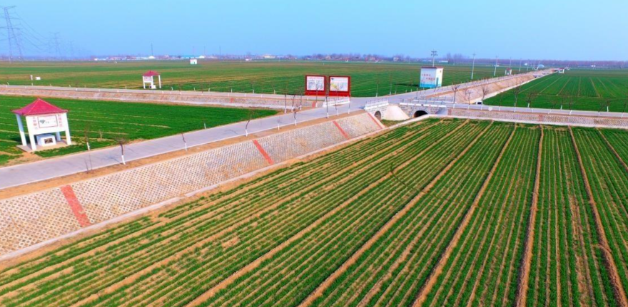 图片[4]-中国人到底有多勤劳？看看边境两侧的农田，你就能找到答案-华闻时空