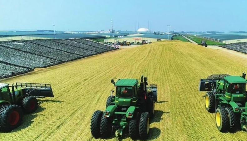 图片[6]-中国人到底有多勤劳？看看边境两侧的农田，你就能找到答案-华闻时空