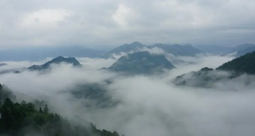 图片[1]-姜敏达诗歌欣赏：十一月-华闻时空