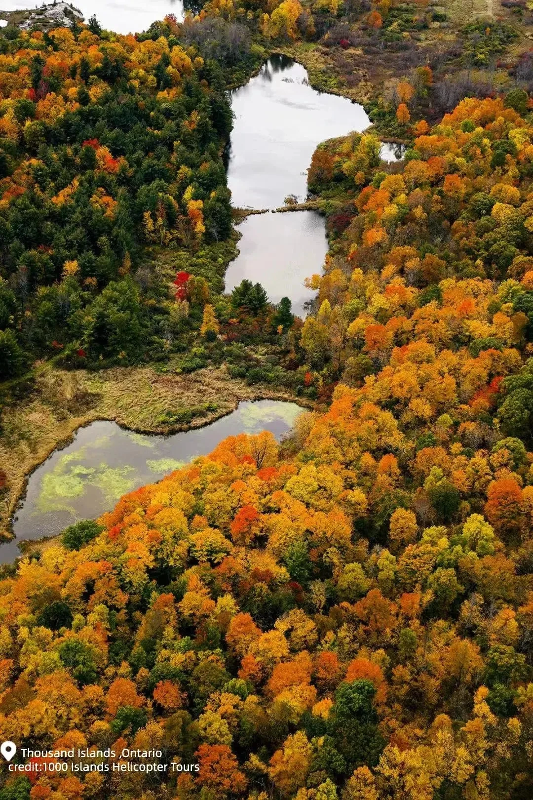 图片[13]-不到加拿大，不知道秋天有多美-华闻时空