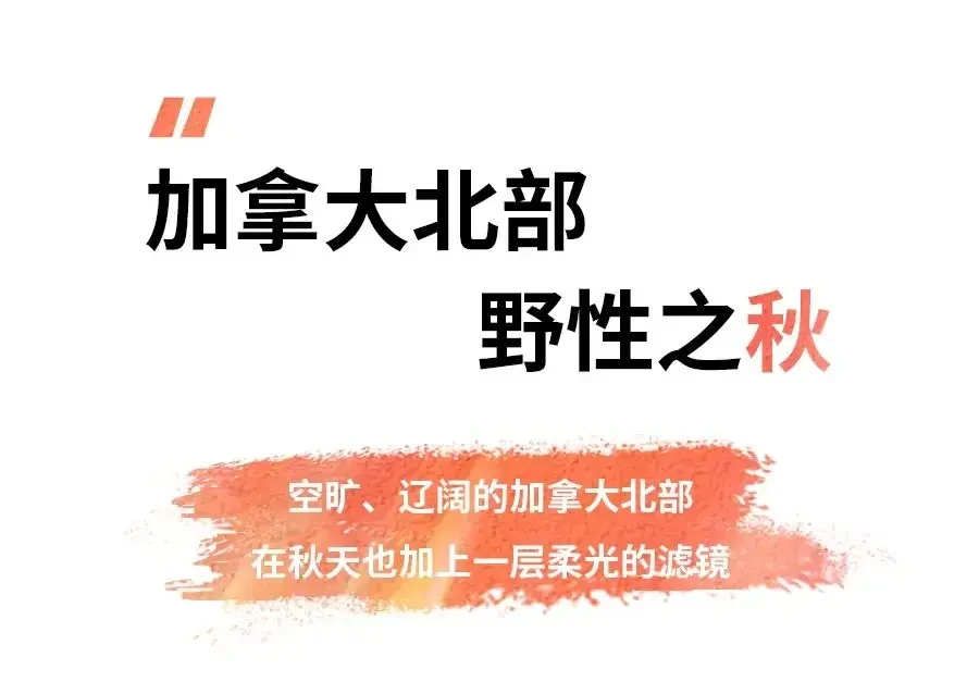 图片[21]-不到加拿大，不知道秋天有多美-华闻时空