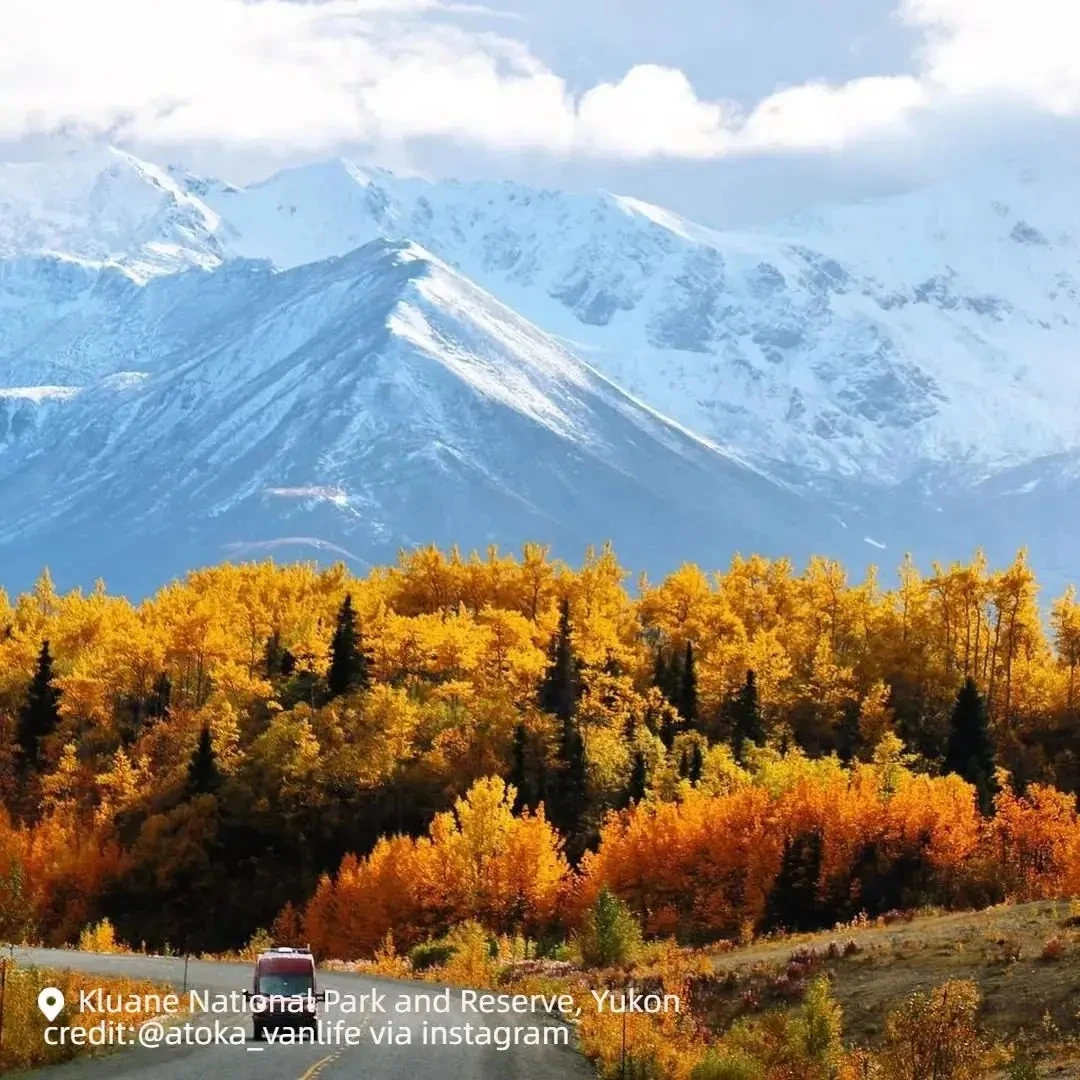 图片[23]-不到加拿大，不知道秋天有多美-华闻时空