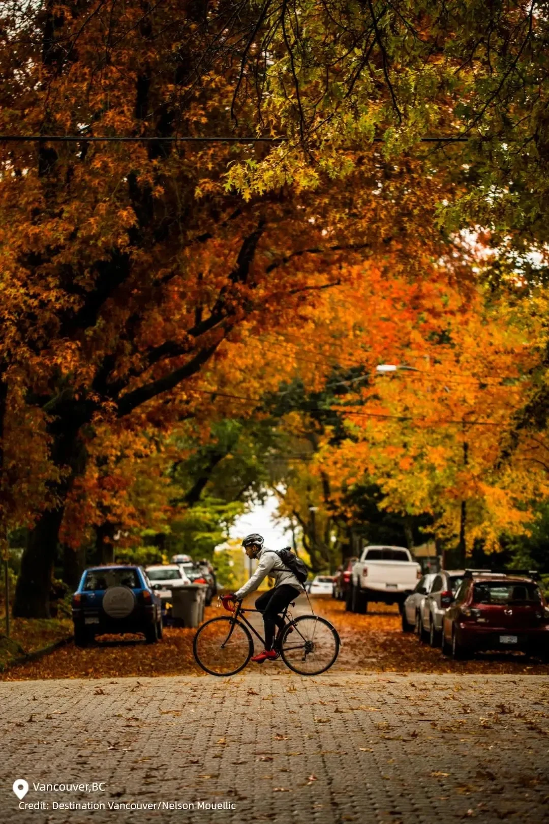 图片[19]-不到加拿大，不知道秋天有多美-华闻时空