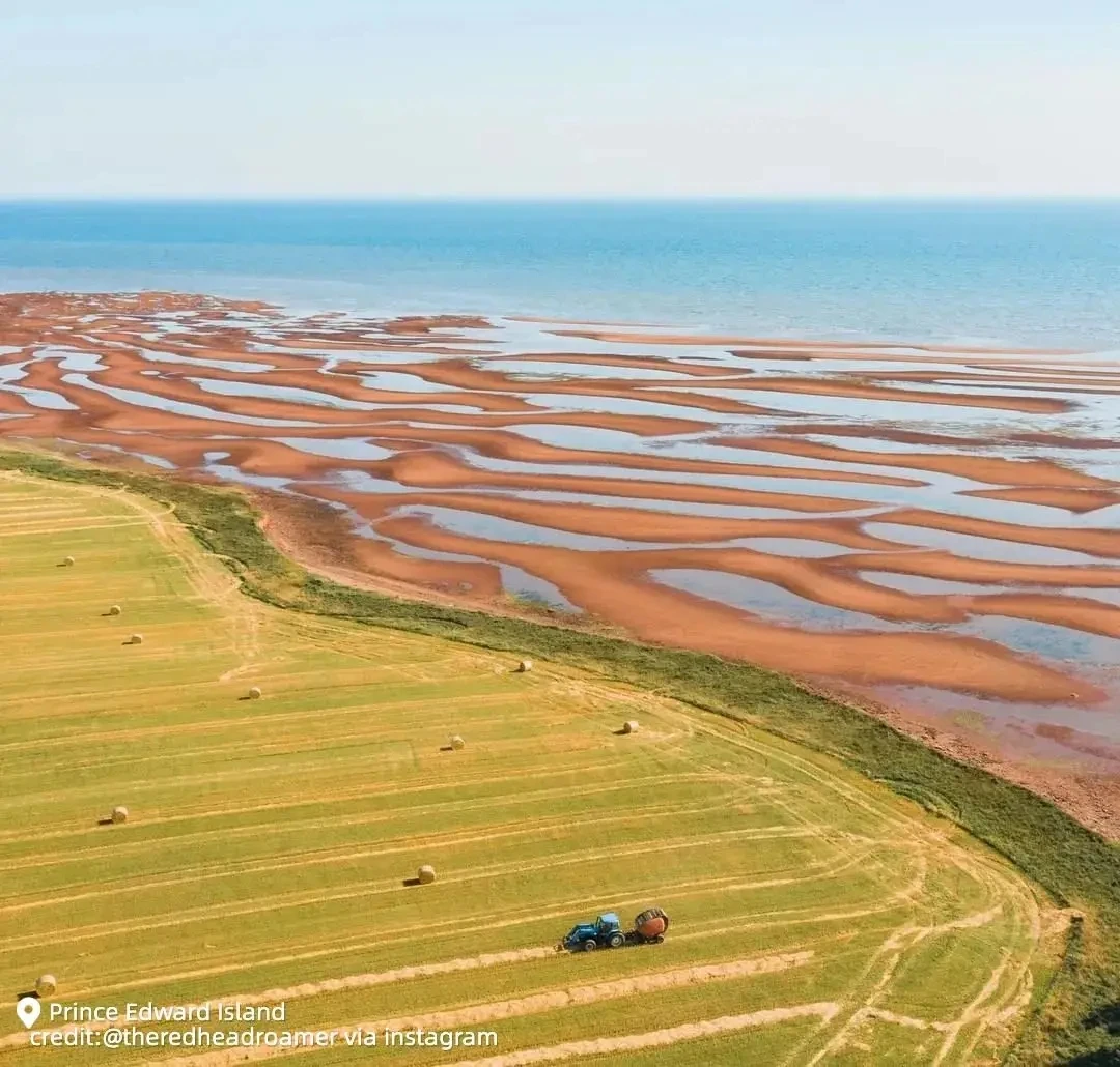 图片[33]-不到加拿大，不知道秋天有多美-华闻时空