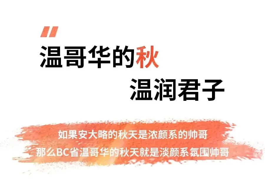 图片[16]-不到加拿大，不知道秋天有多美-华闻时空