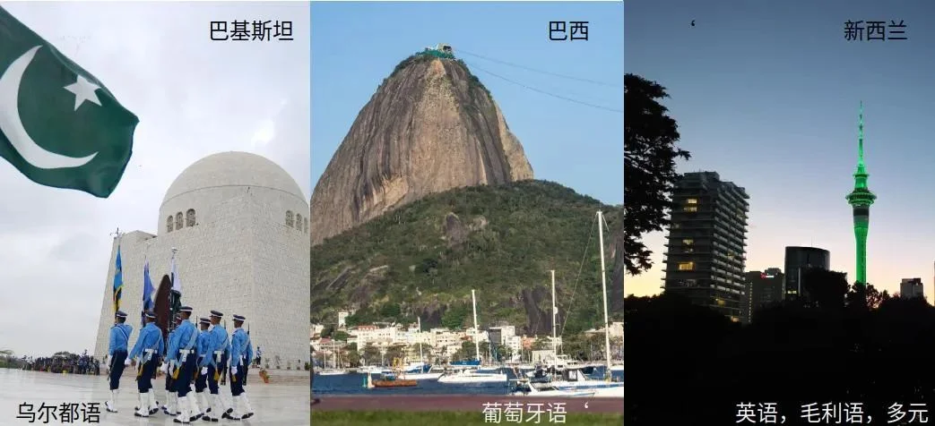 图片[1]-文化和语言的融合： 40%的新西兰儿童会说多种语言-华闻时空