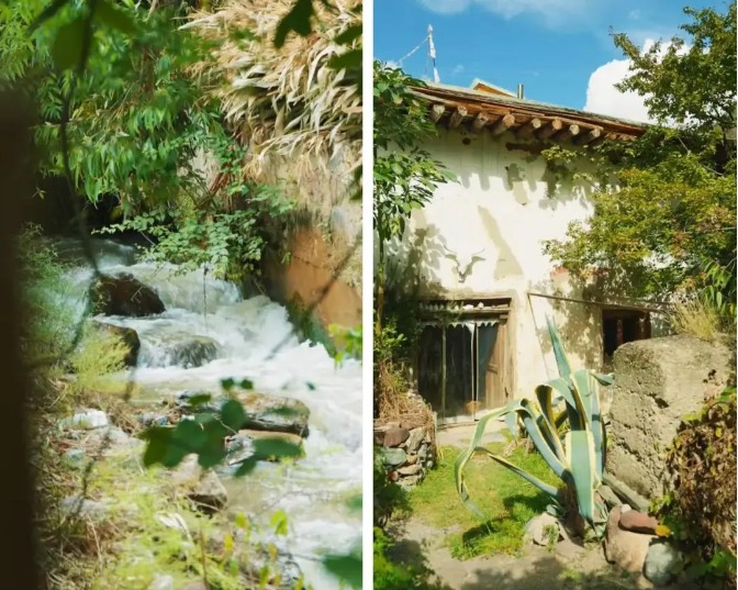 图片[7]-法国女子独居云南深山14年: 造房、酿酒，过美美的日子-华闻时空