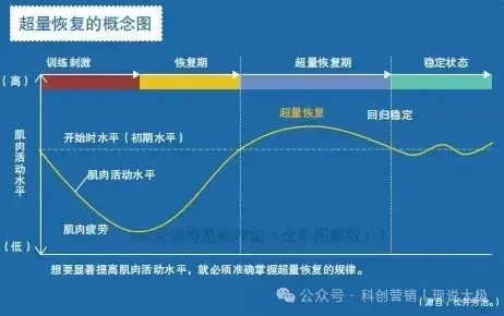 图片[1]-超量恢复和太极拳练习-华闻时空