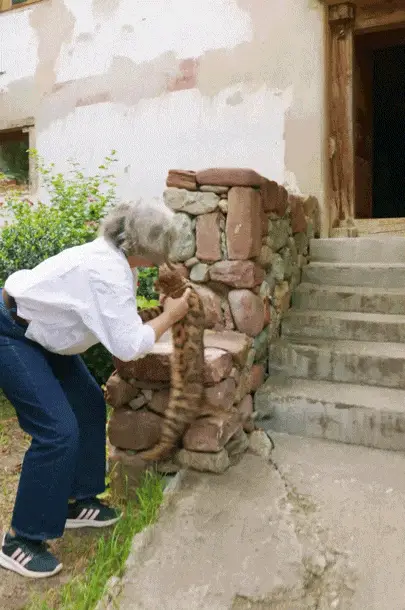 图片[21]-法国女子独居云南深山14年: 造房、酿酒，过美美的日子-华闻时空