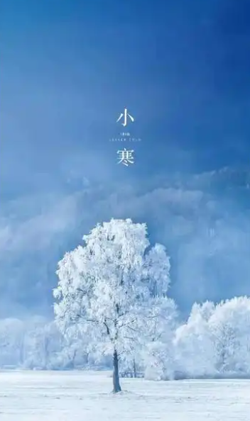 姜敏达诗歌欣赏：小寒-华闻时空