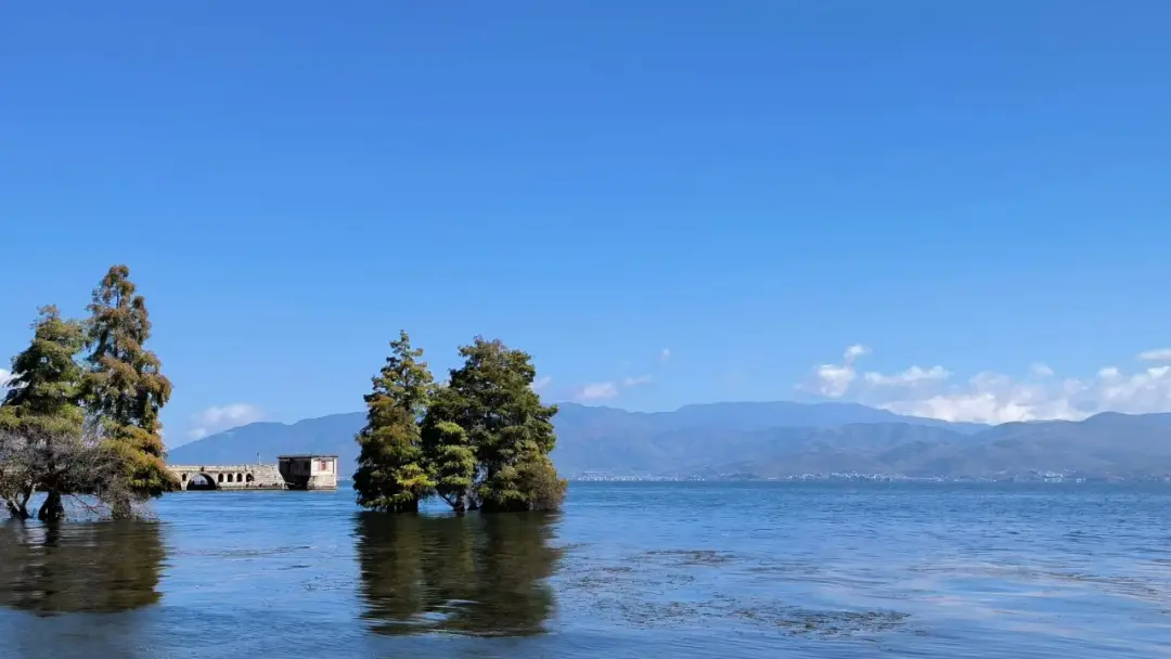 裸辞的年轻人，最近都在南方候鸟式旅居了 -华闻时空