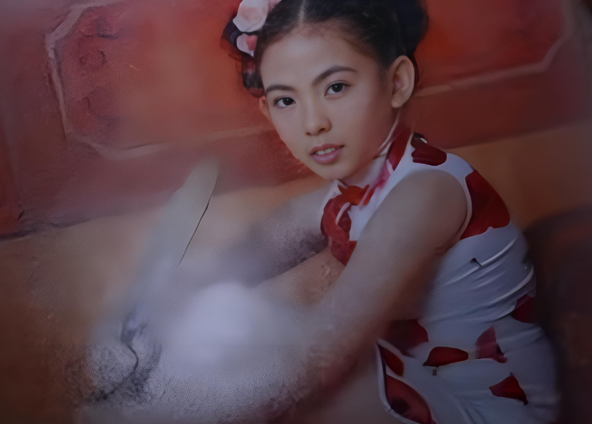 图片[8]-全球华人关注的贺梅案，中美两国为此案单独立法-华闻时空