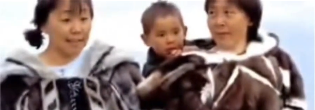 图片[3]-格陵兰岛网友称他们是中国人的后代，现在要回归中国-华闻时空