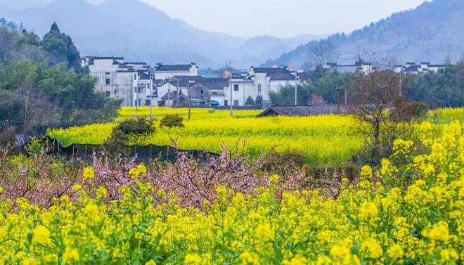春季旅行提前安排，赏花下江南，选几个好去处-华闻时空