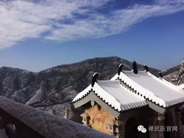 图片[3]-金诚峰 /莫负茶汤好天气-华闻时空