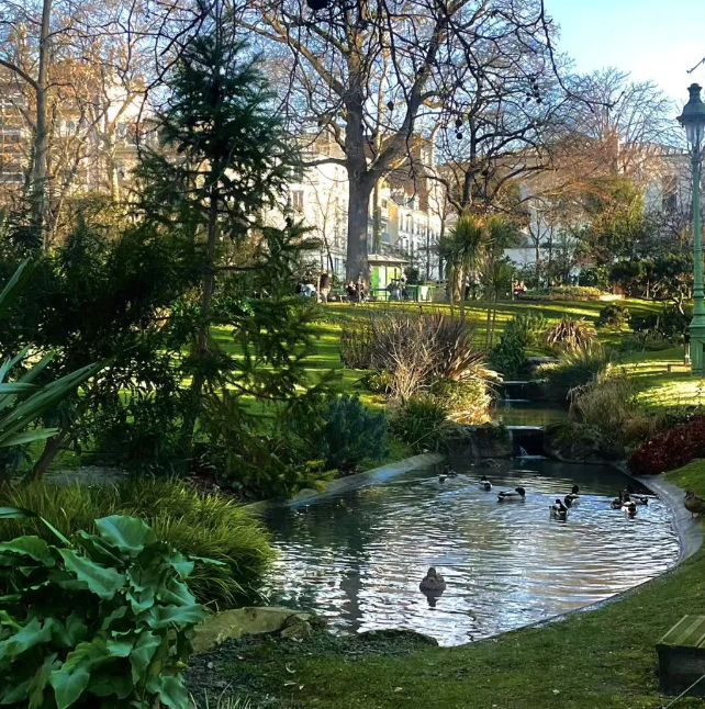 图片[3]-许多留学生正在阶层滑落-华闻时空