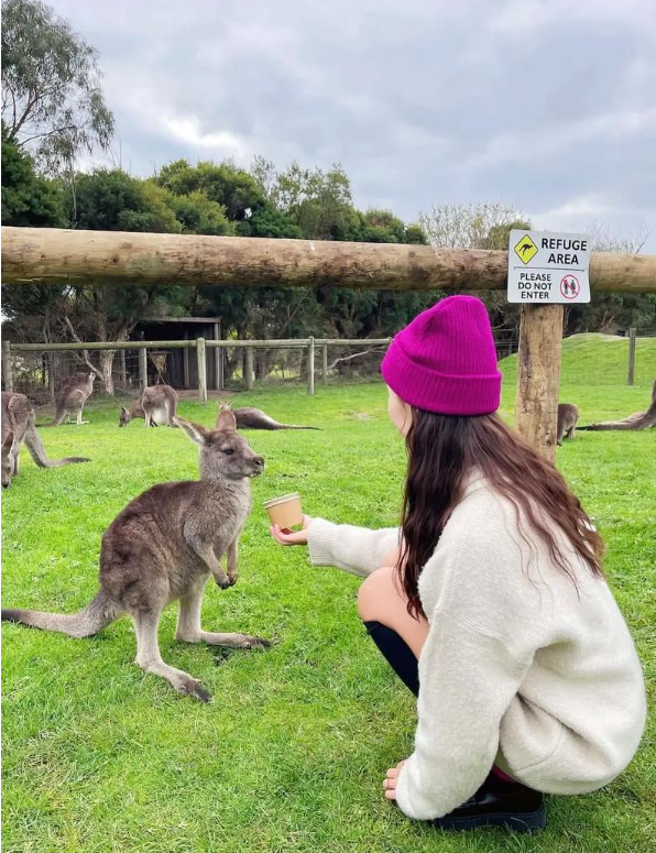 图片[4]-突变！澳大利亚或将专为中国人重启移民大门-华闻时空