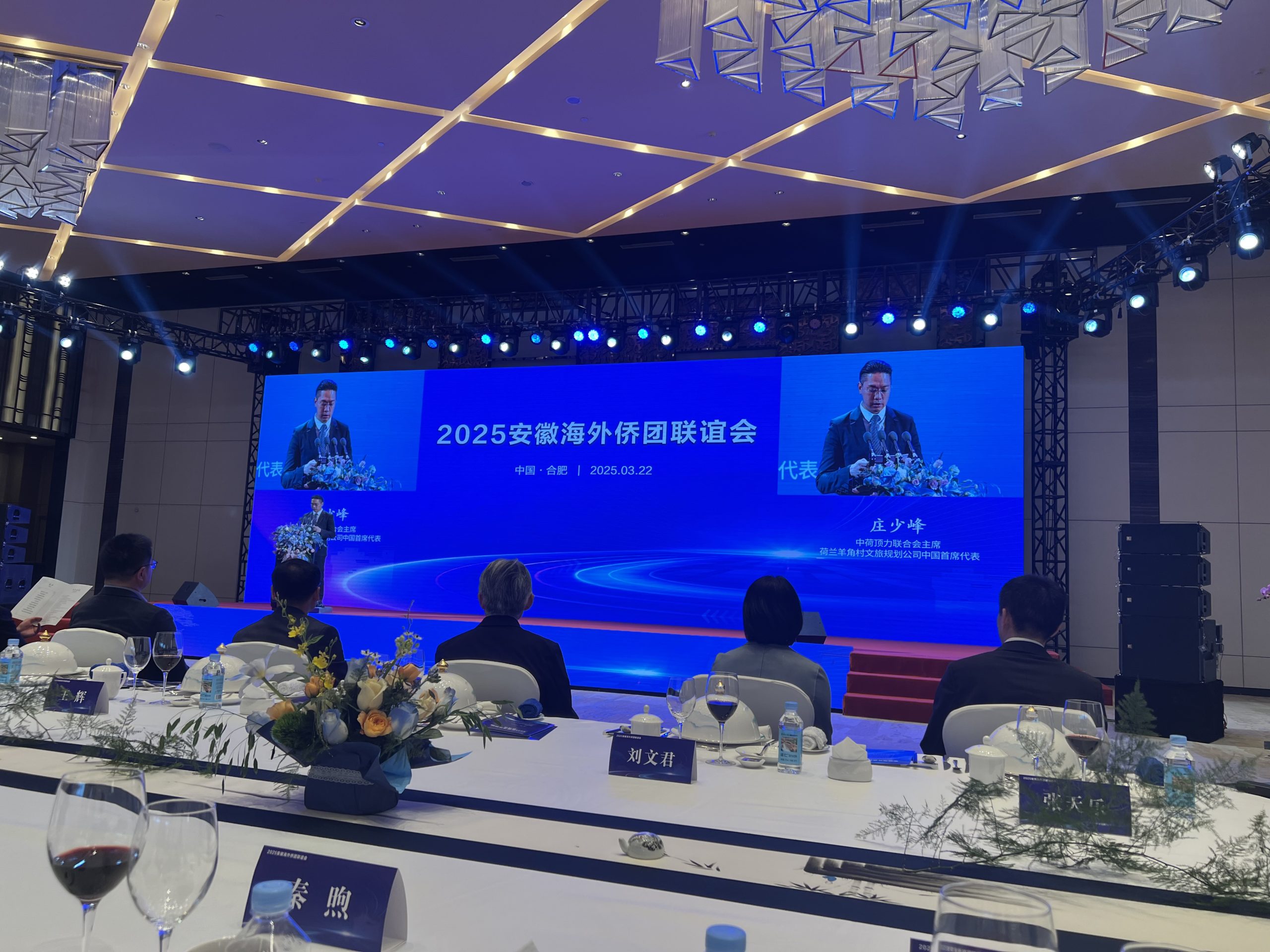 图片[3]-2025徽商大会在合肥隆重召开，汇聚全球徽商力量共谱发展新篇-华闻时空