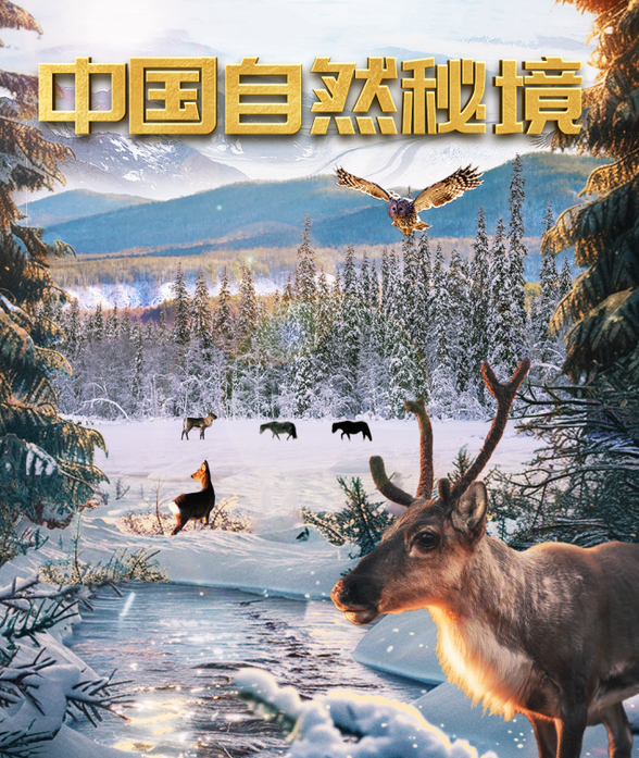 中国电视-《中国自然秘境》（第五季）-华闻时空