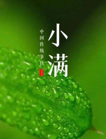 姜敏达诗歌欣赏：小滿-华闻时空