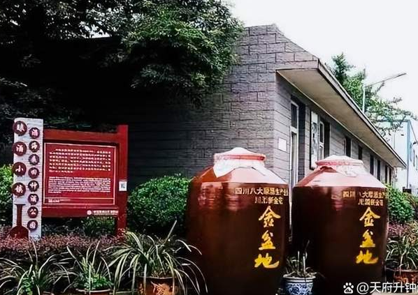 褚成炎｜成都金盆地酒业集团第十一届种酒节专题-华闻时空