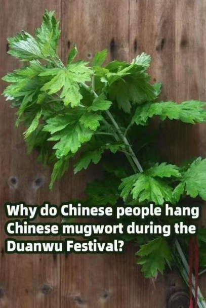 端午时人们为什么要挂艾草？-华闻时空