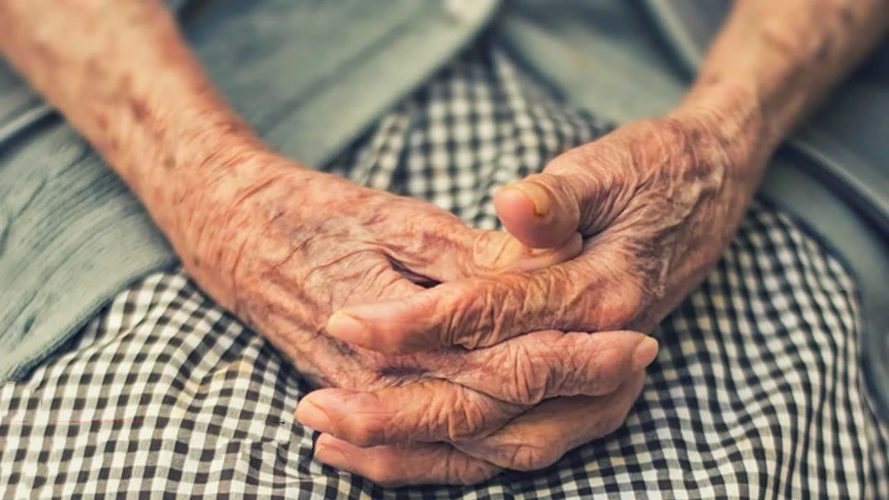 图片[1]-6家养老院涉非法经营被查-华闻时空