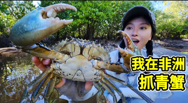 在非洲抓青蟹，挖洞2米掏6斤大螃蟹，一锅水煮滋味鲜！-华闻时空