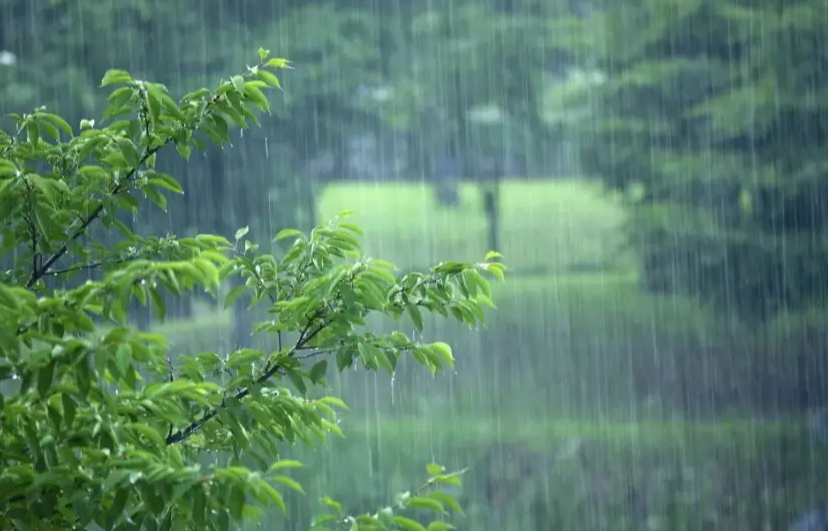 姜敏达诗歌欣赏：《夏雨》（外两首）-华闻时空