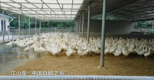 中国电视-《中国美食大会》：地域风味中见中华饮食脉络-华闻时空