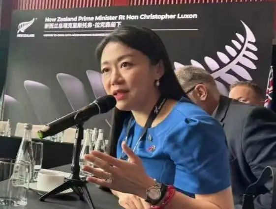 图片[1]-NZ华新社述评：有感陆楠议员随新西兰总理首次访华：用使命与担当，坚固新中经贸之桥——也写给每一位新西兰华人-华闻时空