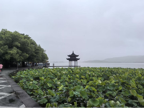 2025年海外华文媒体杭州行采访活动在杭启动-华闻时空