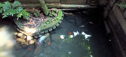 图片[3]-小满茶日-华闻时空