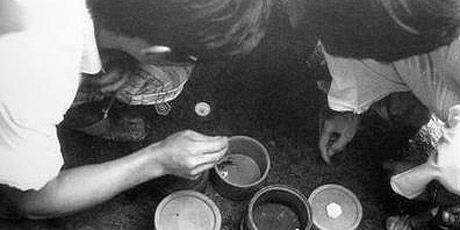 图片[3]-豪门联姻（15）丨古宅沧海难为水——远去的乡愁和一帘幽梦-华闻时空