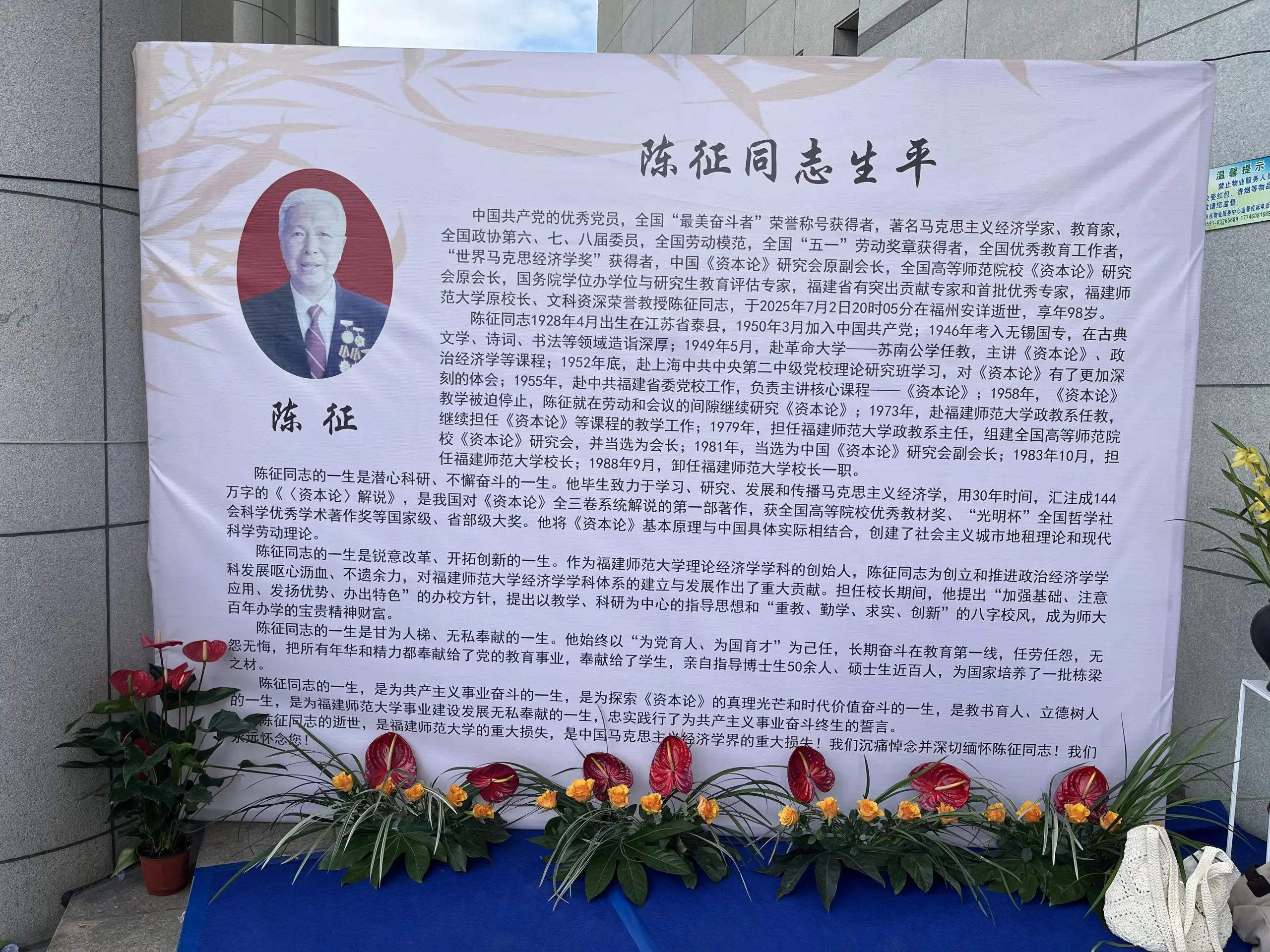 图片[2]-赵麟斌：老树新枝-华闻时空