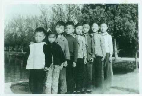 图片[9]-情定合肥（18）丨古宅沧海难为水——远去的乡愁和一帘幽梦-华闻时空
