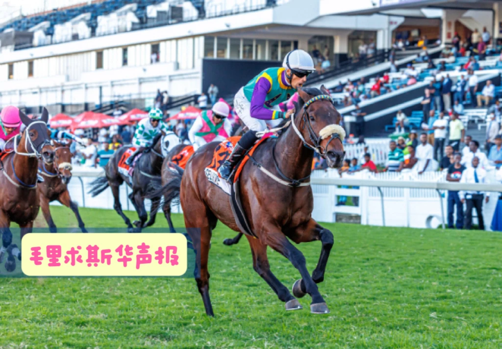 图片[1]-福昆马厩强势备战2026赛马季 -华闻时空