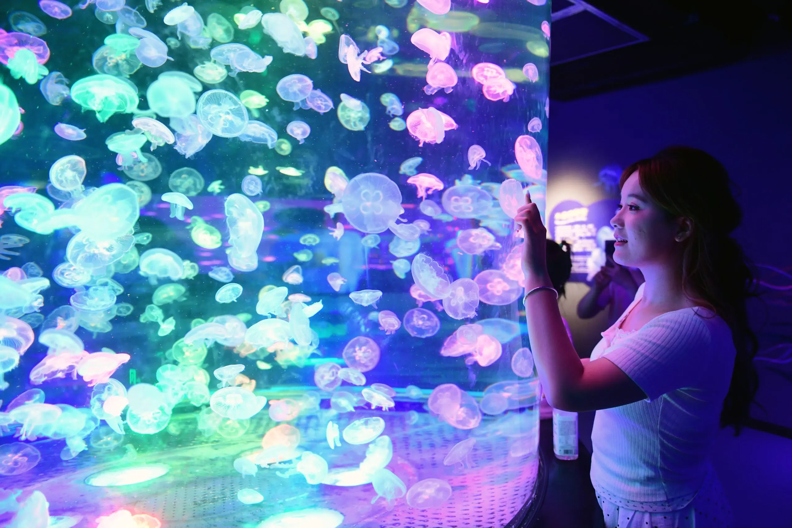 图片[1]-解锁海底世界的惊喜时刻-华闻时空