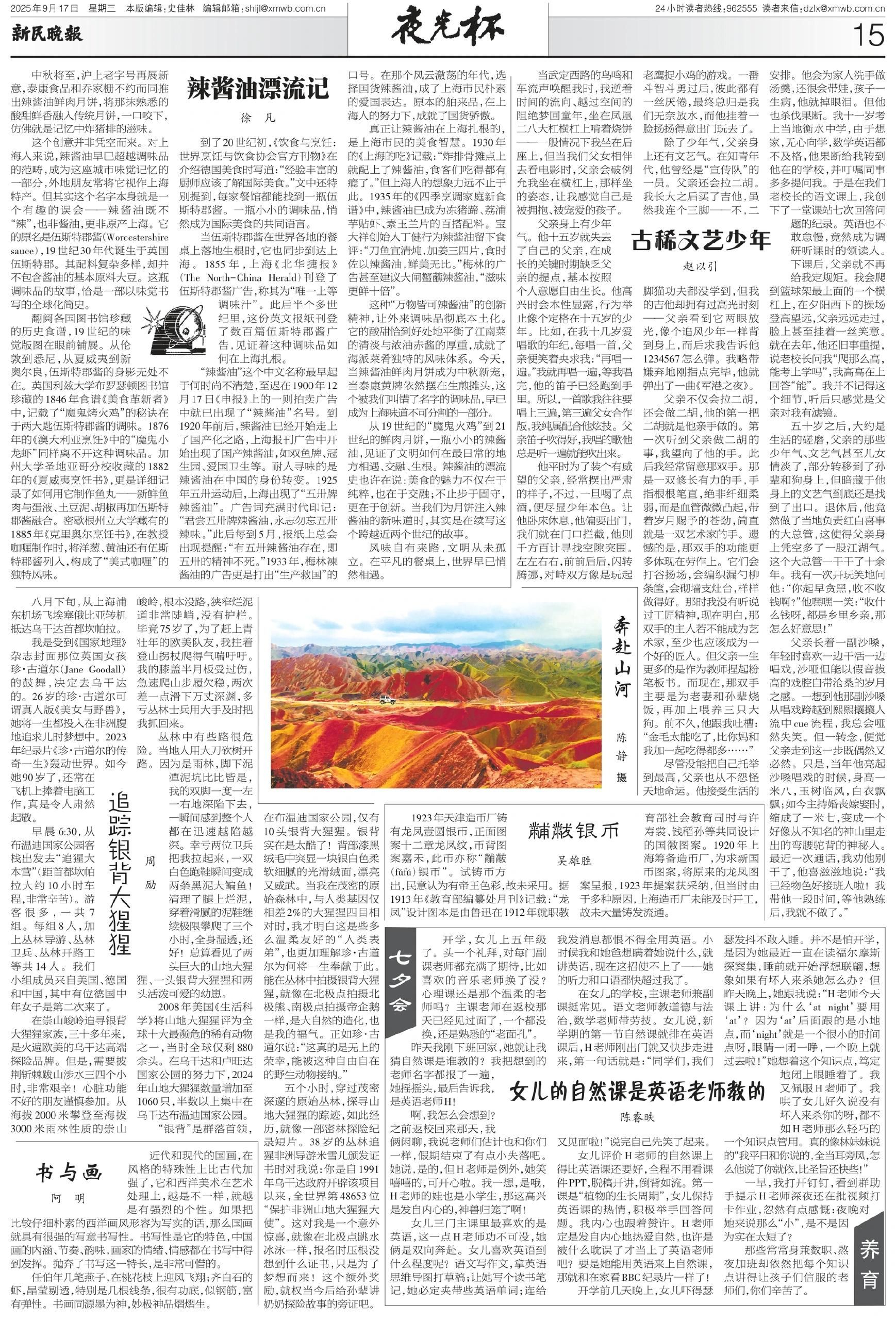 图片[1]-追踪银背大猩猩-华闻时空