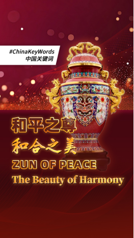 图片[2]-《铭记.守护》系列短视频-华闻时空