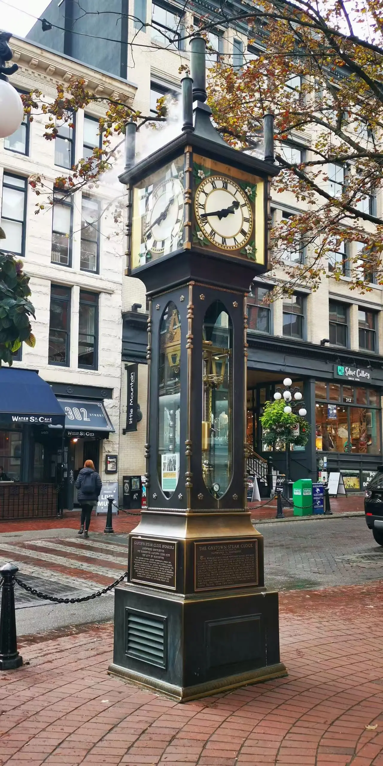 图片[8]-全美中国作家联谊会设宴欢迎上海著名摄影家徐祖伟夏茵伉俪访问美国-华闻时空