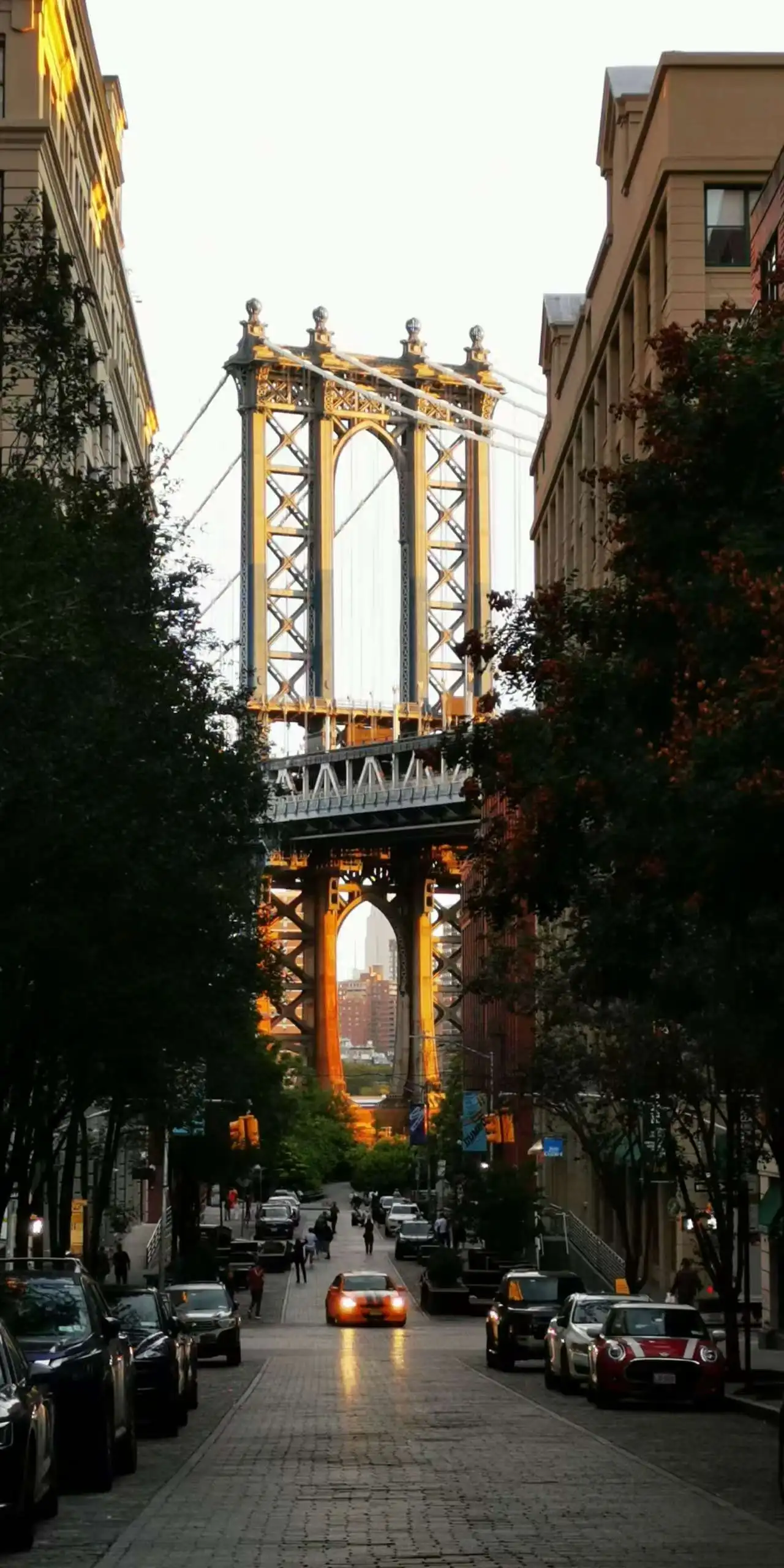 图片[18]-全美中国作家联谊会设宴欢迎上海著名摄影家徐祖伟夏茵伉俪访问美国-华闻时空