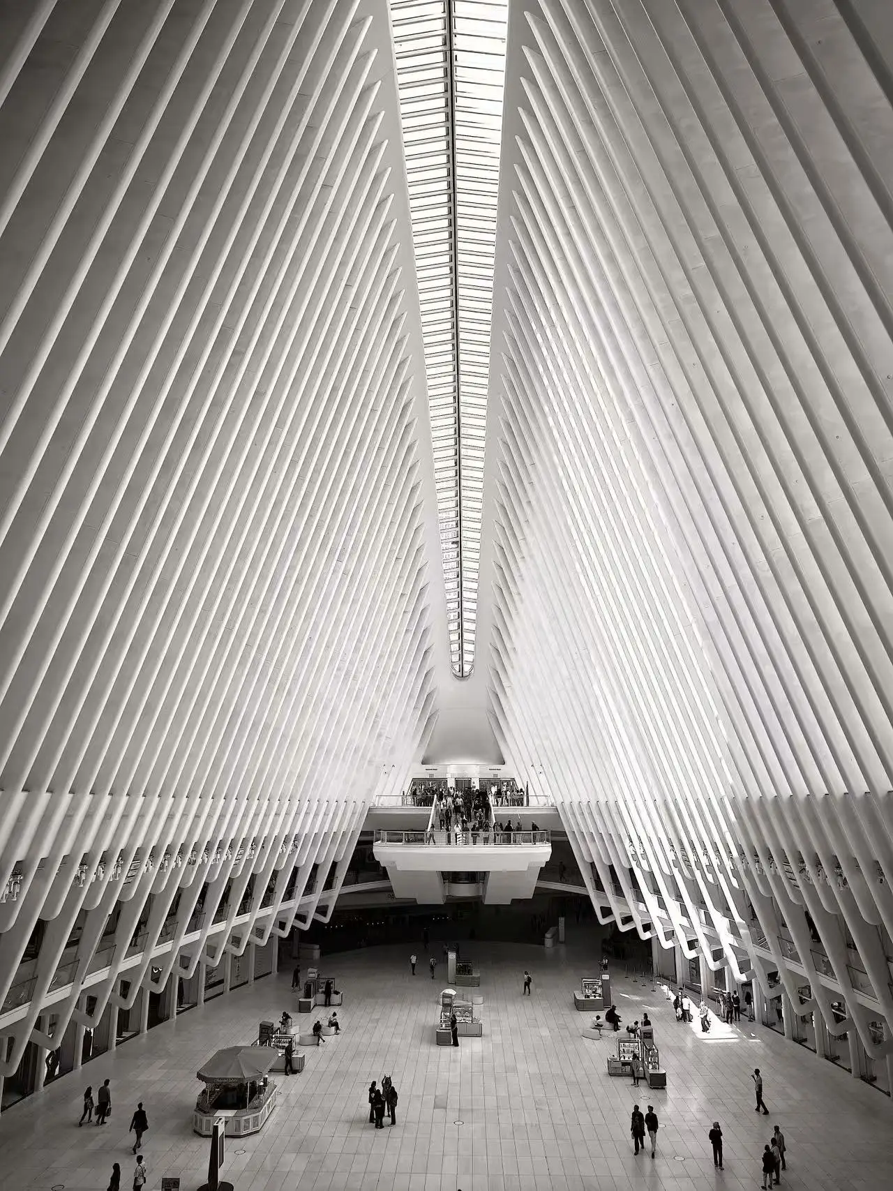 图片[19]-全美中国作家联谊会设宴欢迎上海著名摄影家徐祖伟夏茵伉俪访问美国-华闻时空