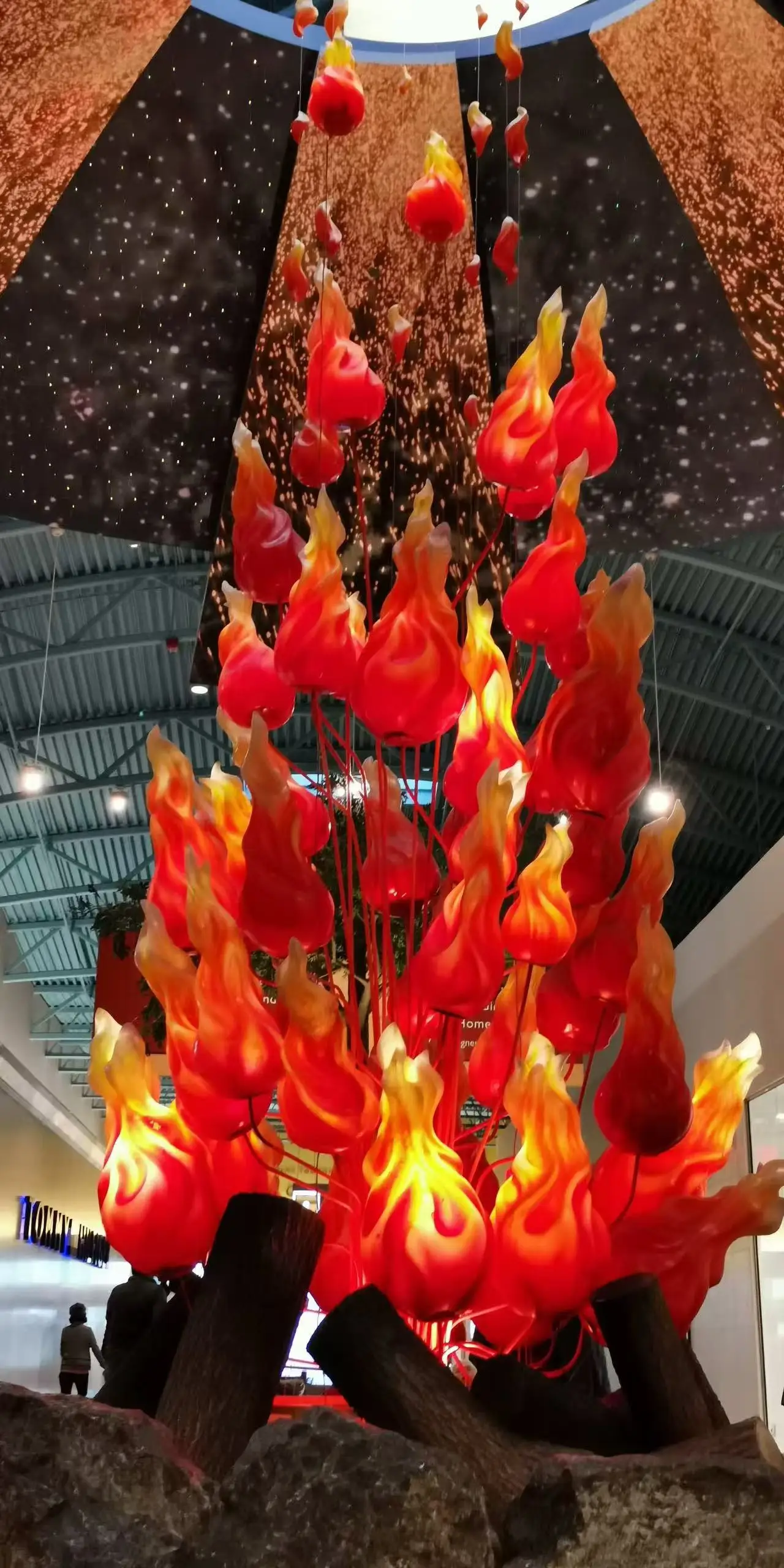 图片[9]-全美中国作家联谊会设宴欢迎上海著名摄影家徐祖伟夏茵伉俪访问美国-华闻时空