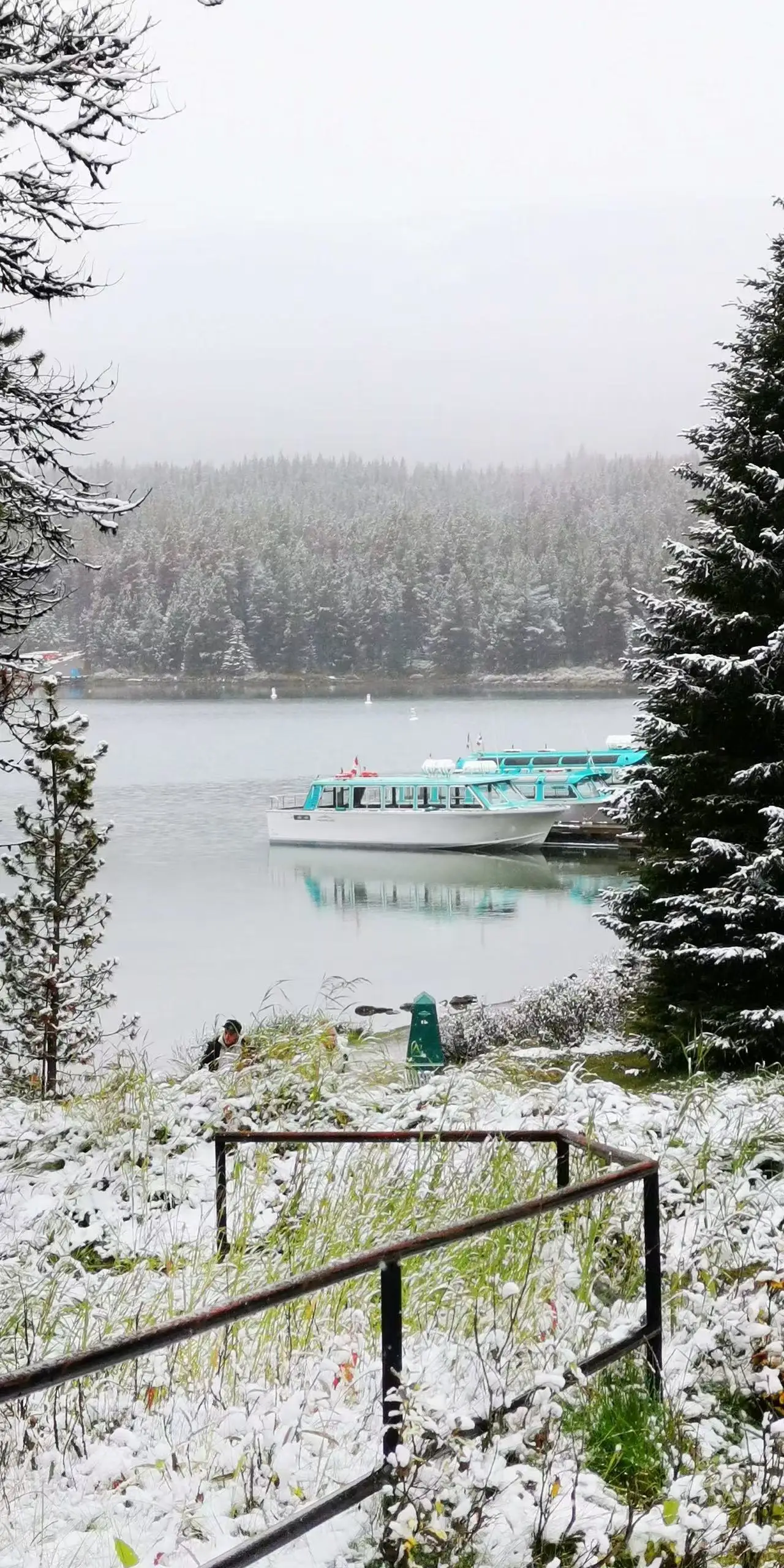 图片[14]-全美中国作家联谊会设宴欢迎上海著名摄影家徐祖伟夏茵伉俪访问美国-华闻时空